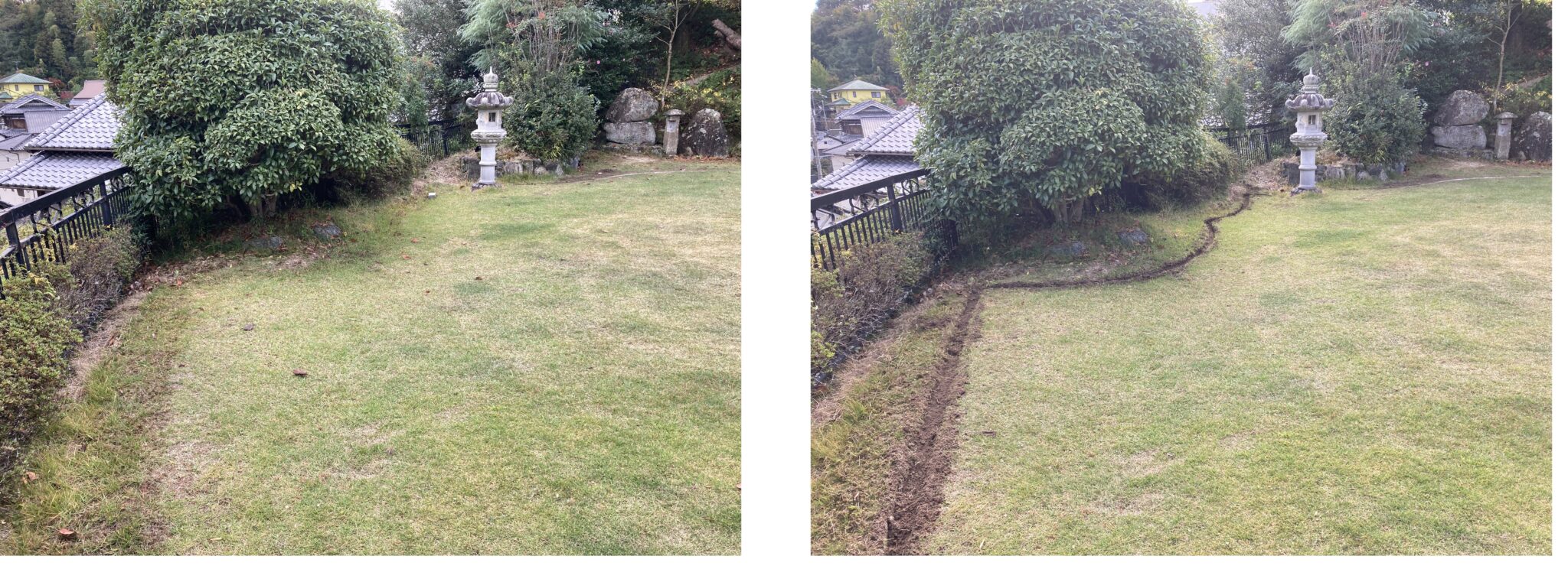 植栽周りの芝生をターフカッターで切り出した前後比較。ブロック埋設予定部分が明確になった様子。