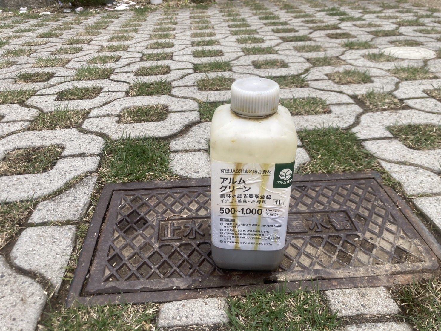 芝張り後3週間経った高麗芝に散布したアルムグリーンのボトル。発根促進や生育改善の効果がある植物成長調整剤。