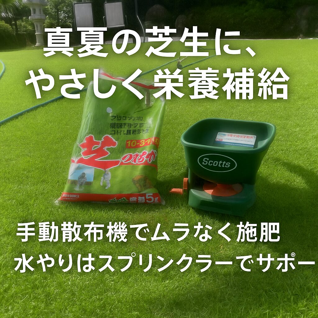 芝生の上に置かれた肥料袋と手動散布機。真夏の施肥作業中のYASUYO庭の様子