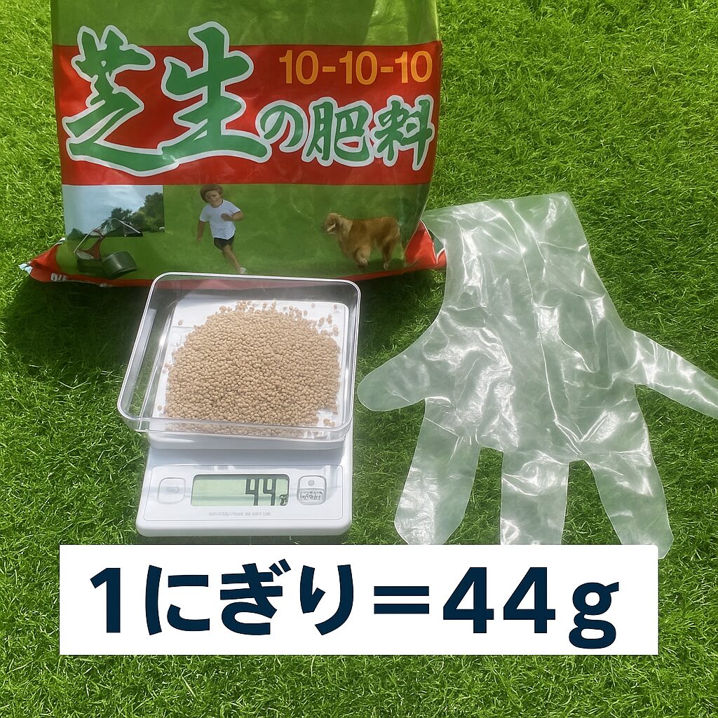 芝生用の化成肥料を計量中。1にぎり分の約44gがスケールに乗せられ、使い捨て手袋と肥料袋が並ぶ。