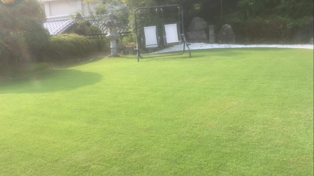 2025年8月24日、20mmで芝刈りを行った直後のYASUYO庭。均一で鮮やかな緑が広がり、今年のピークを迎えた美しい状態。