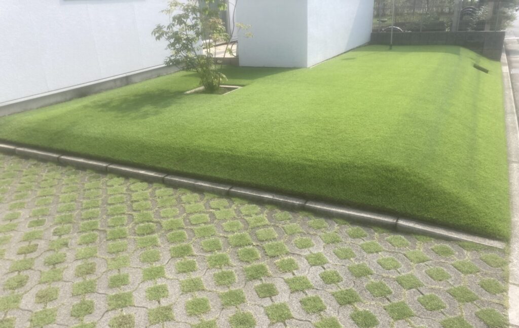 夏のピークを迎えた自宅芝生。青々と密度が高く、一面が美しい緑に覆われている様子