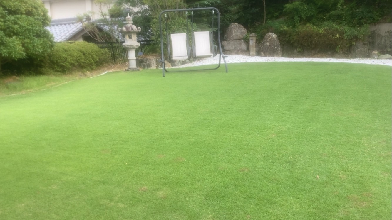 刈り高20㎜で芝刈りをした後の状態