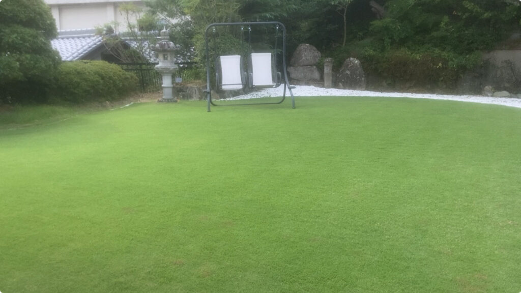 雑草除去と20mm芝刈り後のYASUYO庭の芝生。曇天の下でも均一に整い、ピークに近い美しさを維持。