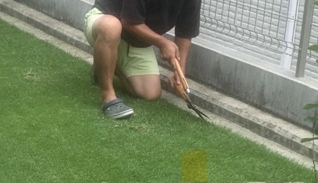 枝切りばさみで芝生の際を刈る作業中の写真