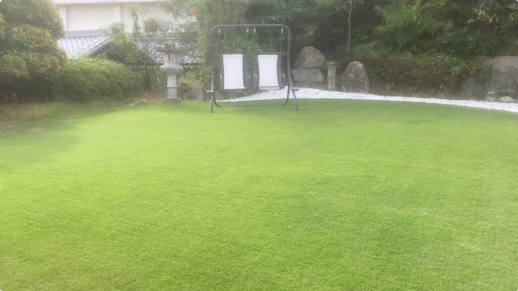 芝刈り後のYASUYO庭の芝生全体写真。刈り高25mmで整えられ、秋の陽射しを受けて葉が均一に茂る様子(10/12)