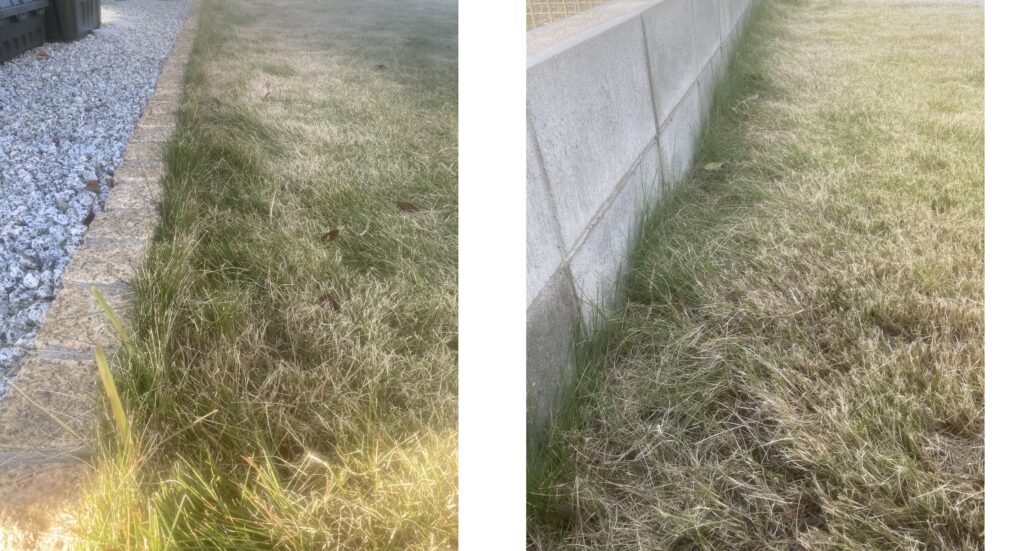 際刈りを行う前の境界部の芝生で、不揃いなラインが残っている状態