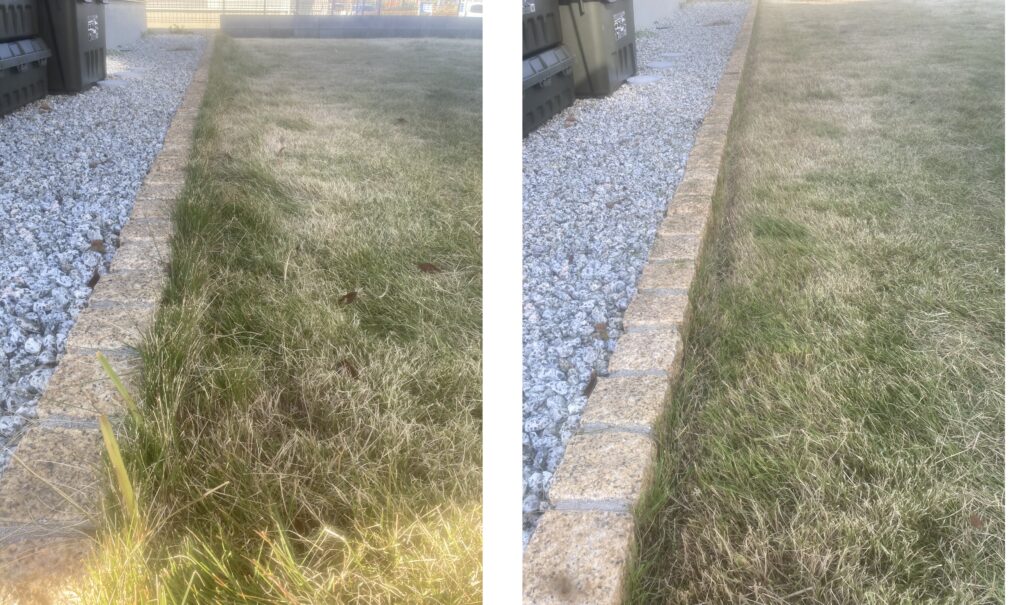 境界際の芝生の作業前後の状態。左が作業前、右が作業後でラインが整えられている