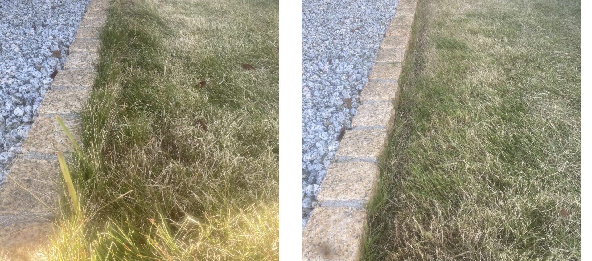 境界際の芝生の作業前後の状態。左が作業前、右が作業後でラインが整えられている