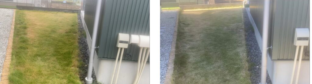 HASHIRI庭|芝生作業前の比較(11/9 → 11/16) HASHIRI庭の芝生作業前比較|11/9と11/16