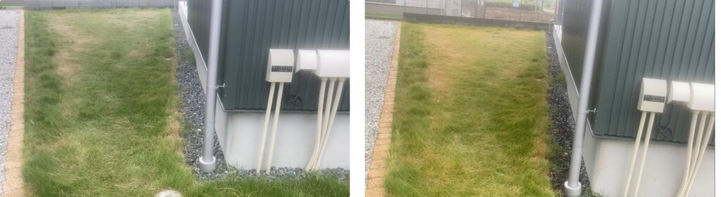 HASHIRI庭|芝刈り後1週間の比較(11/3 → 11/9) HASHIRI庭の芝生比較|11/3と11/9の様子