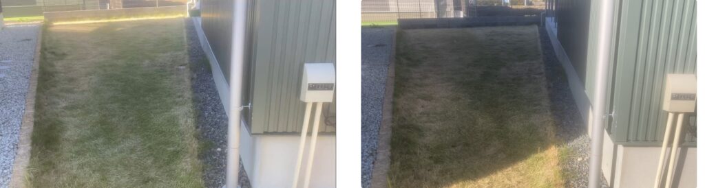 HASHIRI庭 11/23作業前と11/30作業前の比較画像