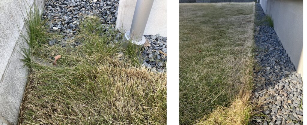 HASHIRI庭 根止めを越えて広がった芝生