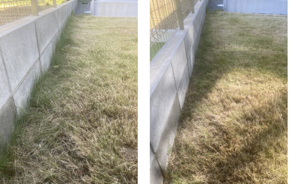 別の場所の境界際の芝生作業前後。左が作業前、右が作業後でラインが整っている