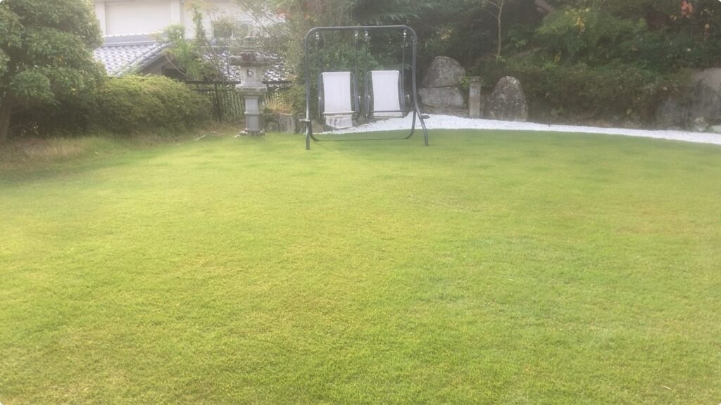 落ち葉を回収して芝面が整ったYASUYO庭の芝生の様子