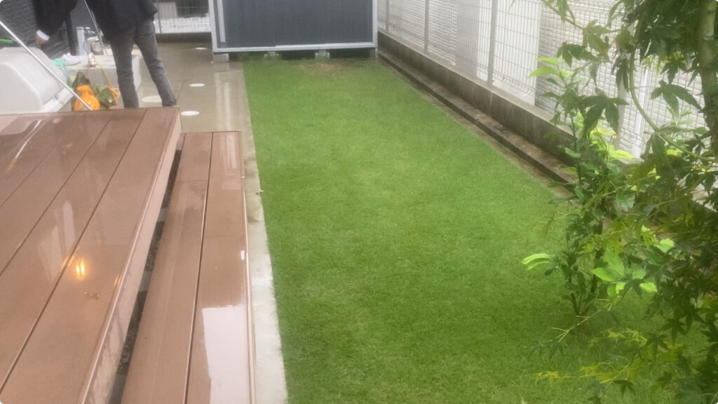 10月24日 YUKI庭の姫高麗芝。コアリングとブレンドカルス散布で冬越し前の仕上げ作業前