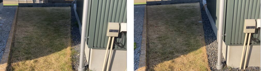 芝生の比較画像。2025年11月30日と12月7日の芝生の状態を並べて比較している