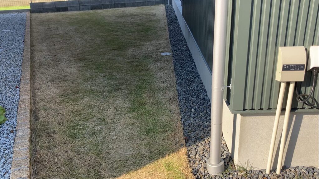 芝生の芝刈り作業中の様子（2025年12月7日撮影）