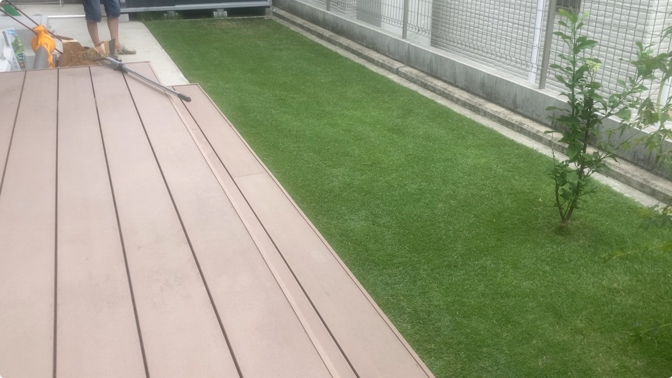 YUKI庭の芝生