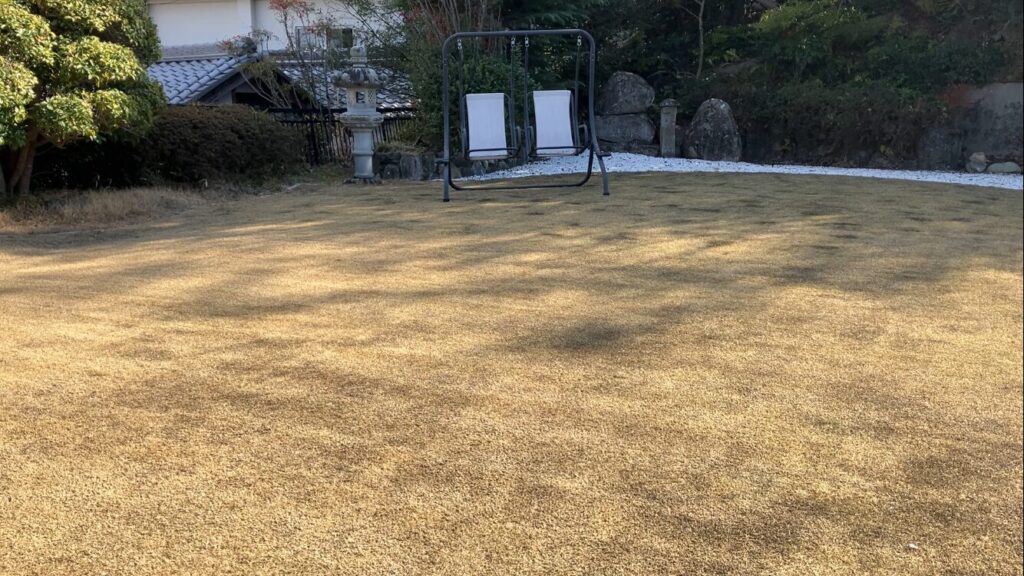 低刈り作業後の芝生全体の様子（YASUYO庭）