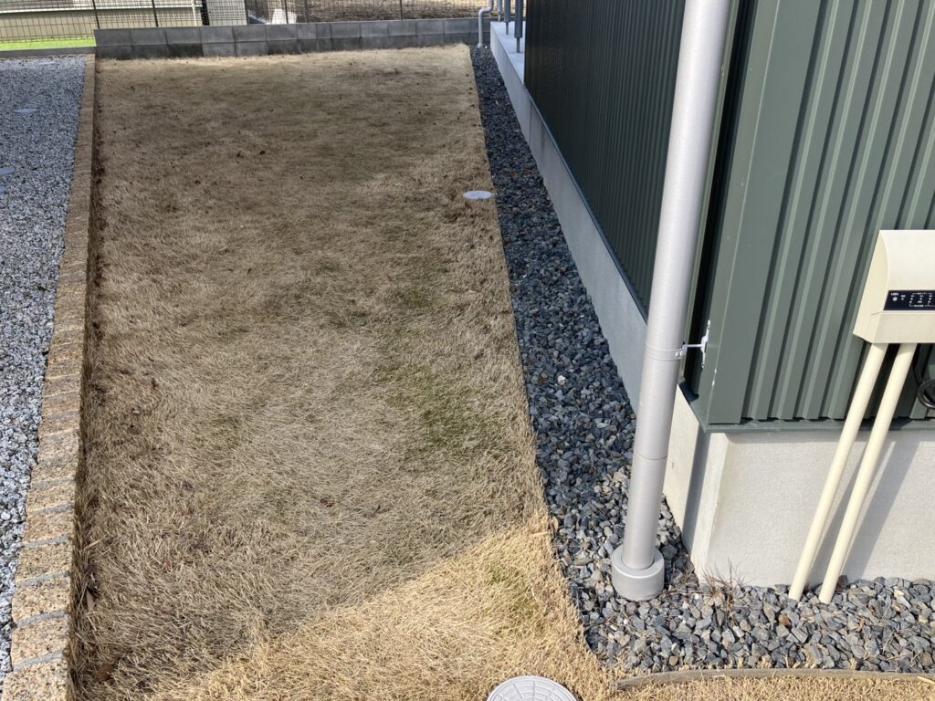 HASHIRI庭の芝生の全体写真(冬の休眠期)