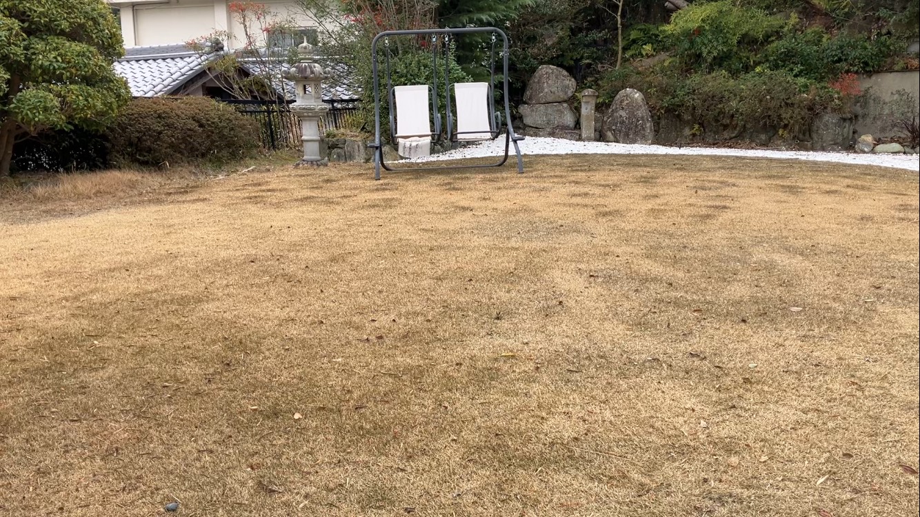 冬の休眠期に入ったYASUYO庭の芝生全体の様子（色ムラあり）