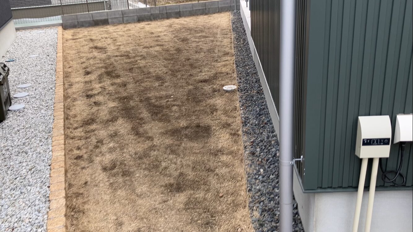 HASHIRI庭で行った春前の低刈り作業（高麗芝25㎡）