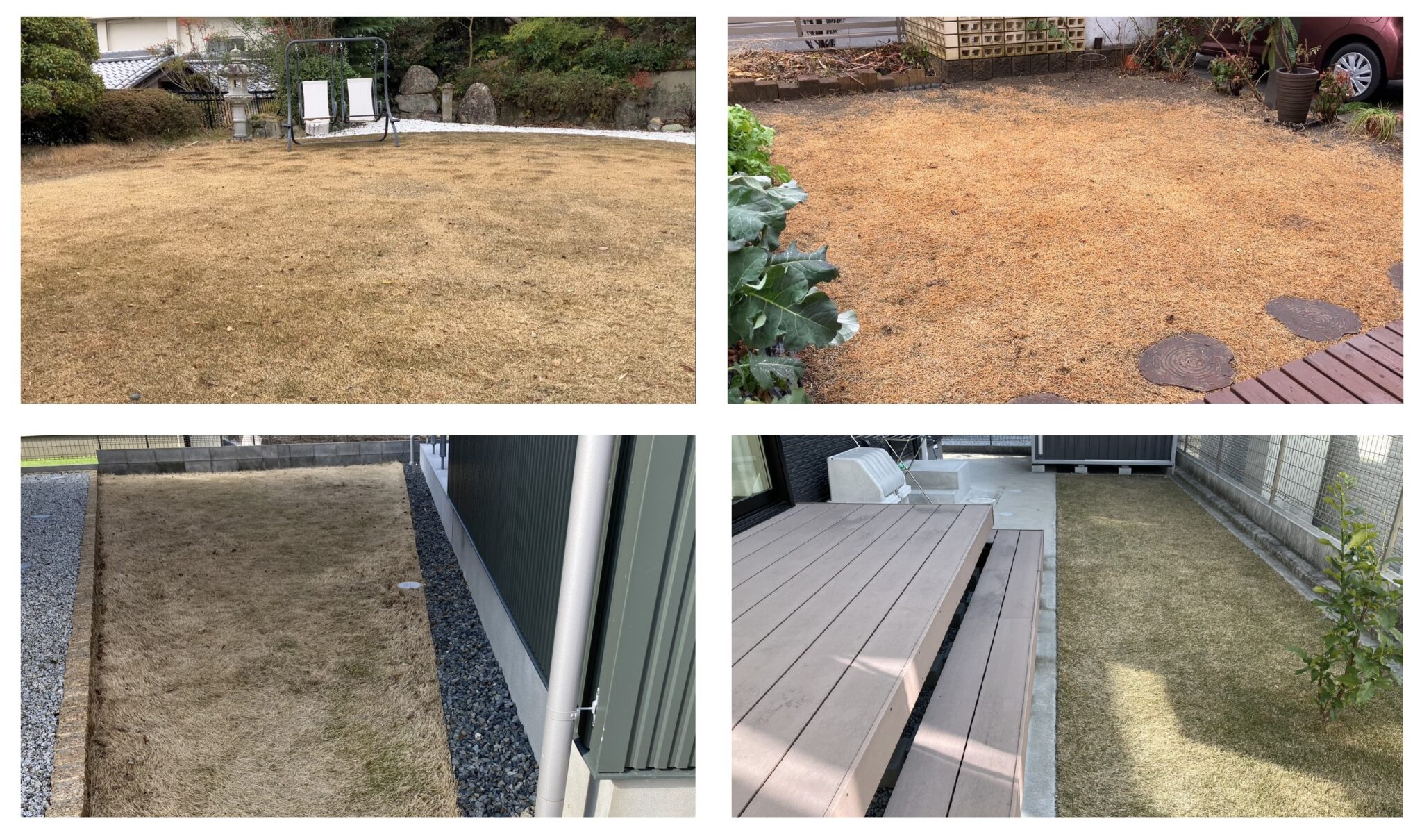 冬の芝生管理の4庭の状態をまとめた写真。YASUYO庭、HIROCHAN庭、HASHIRI庭、YUKI庭の休眠中の芝生を一枚で比較。