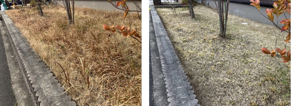 芝刈り前後の比較（雑草が減り地面が見える状態・MIWAKO庭）