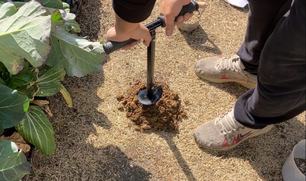 穴掘りドリルを使って芝生の下の固い土を掘り起こしている様子（HIROCHAN庭）