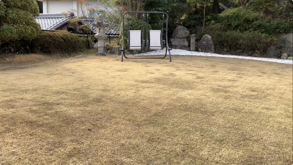 3月15日 芝生の状態 少しずつ変化し始めたがまだ茶色が多い様子