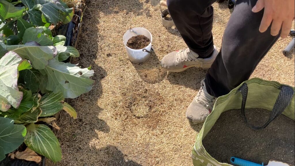 ブレンドカルスを入れた穴に、くり抜いた芝生を元の位置へ戻している様子（HIROCHAN庭）