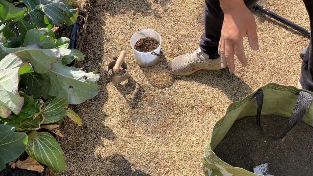 ブレンドカルスをなじませて芝生表面を整え、土壌改良作業が完了した様子（HIROCHAN庭）