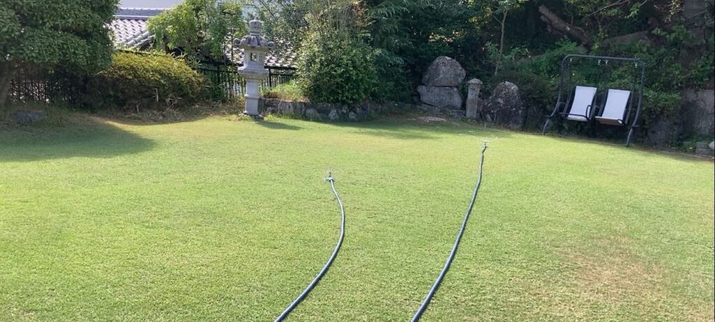 YASUYO庭の芝生 スプリンクラーで散水している様子 夏の芝生の水やり