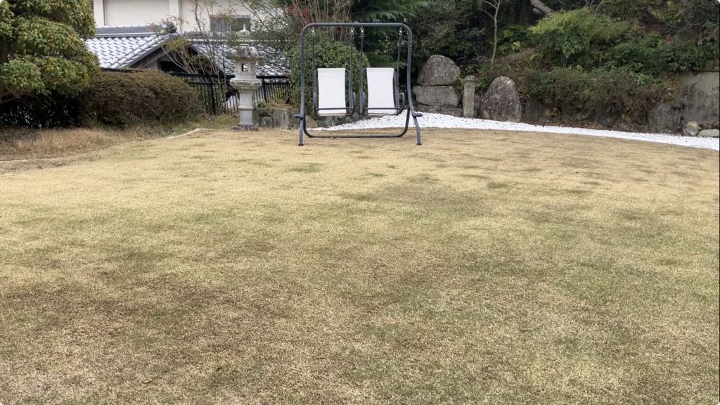 3月22日 芝生の状態 萌芽が始まり少しずつ緑が見え始めた様子