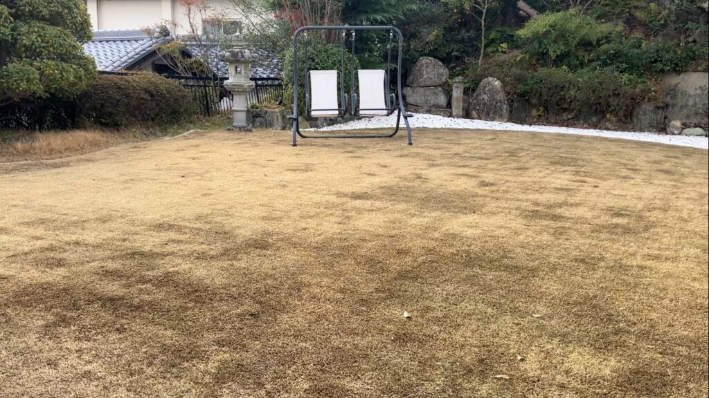 YASUYO庭の芝生全体写真 春前の状態