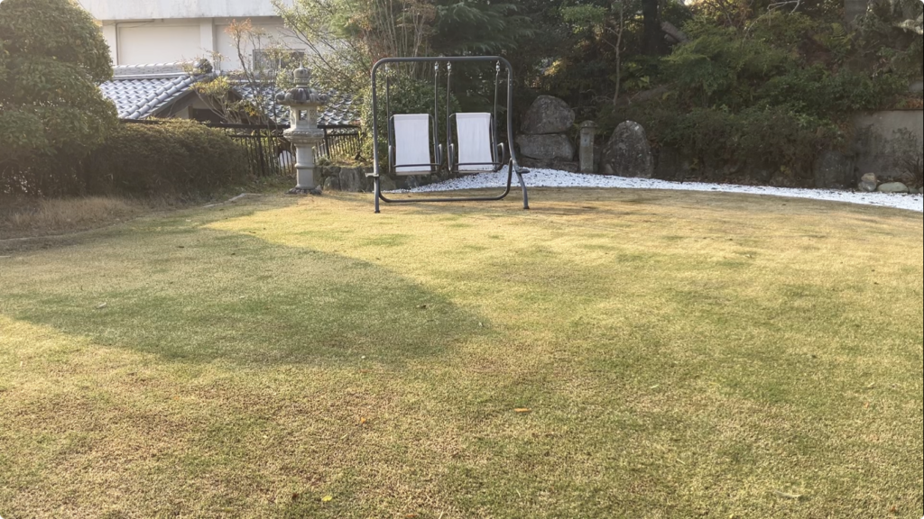 3月29日 芝生の状態 萌芽が進み全体的に緑が広がってきた様子