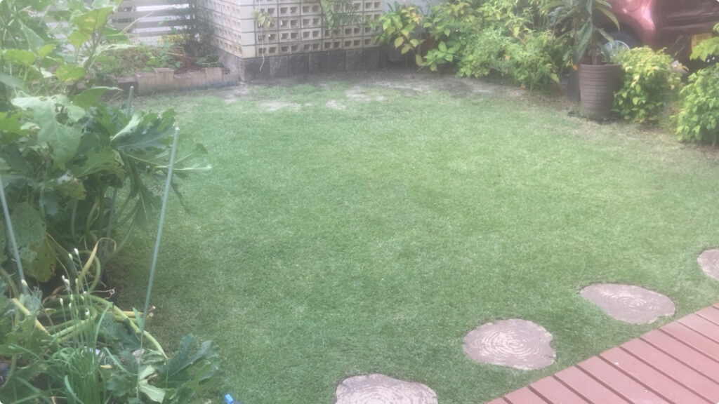 飛び石がある芝生の庭（HIROCHAN庭の全体）