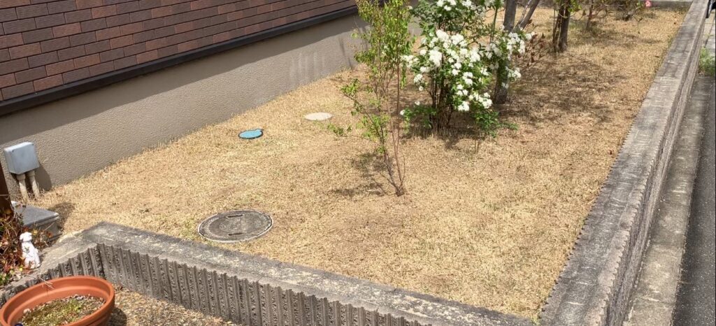 植栽が多い芝生の庭（MIWAKO庭の全体）