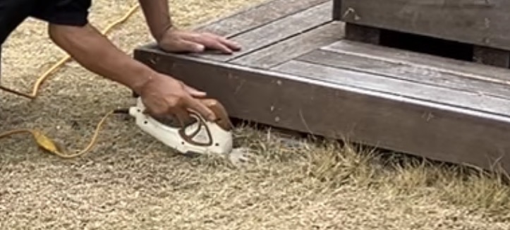 芝生用バリカンで際刈りしている様子