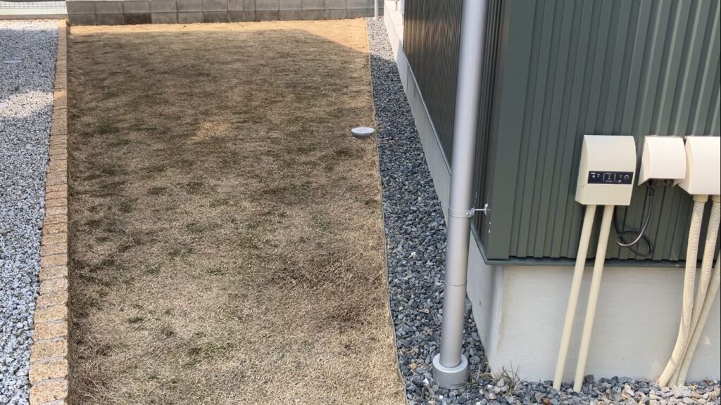 HASHIRI庭 日当たりの様子 2026年3月29日 午前11時 芝生に直射日光が当たらない状態