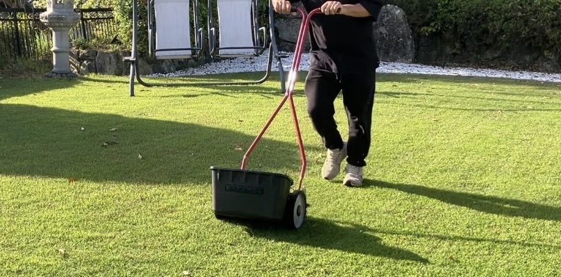 手動式芝刈り機で芝生を刈っている様子