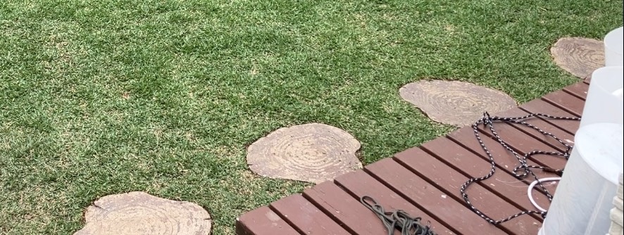 飛び石周りの際刈り後の芝生 端まで整えた仕上がり