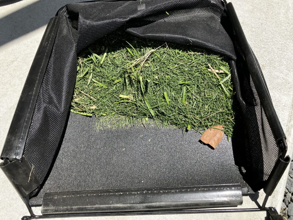 15mm芝刈り後に回収したHASHIRI庭の芝生。まだ刈り取れる量は少ない状態