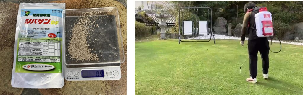 YASUYO庭でシバゲンDFを電動噴霧器で散布する雑草対策作業
