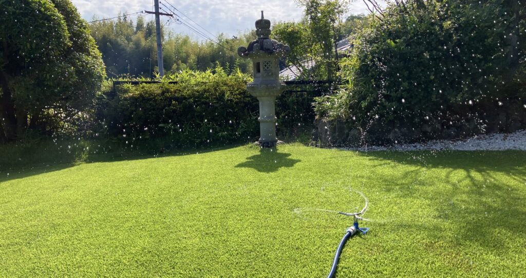 施肥後にスプリンクラーで芝生へ散水している様子