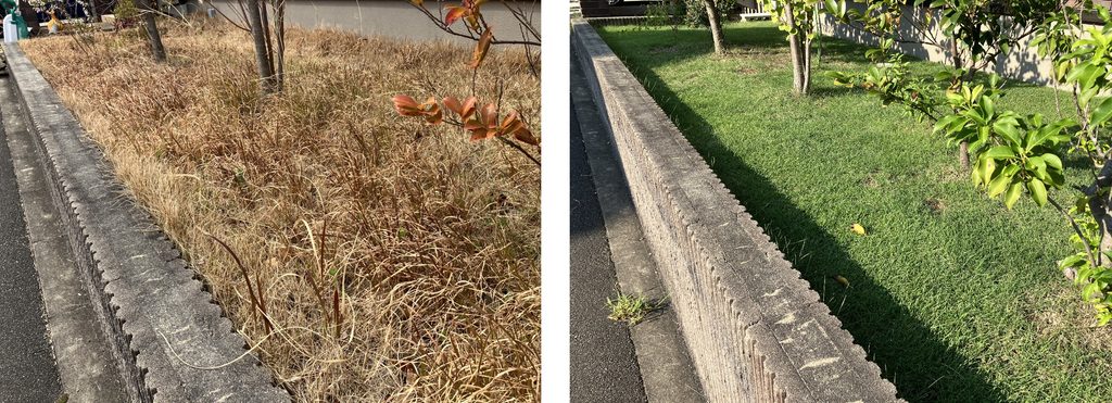 MIWAKO庭を別角度から3月22日と8月24日で比較した様子
