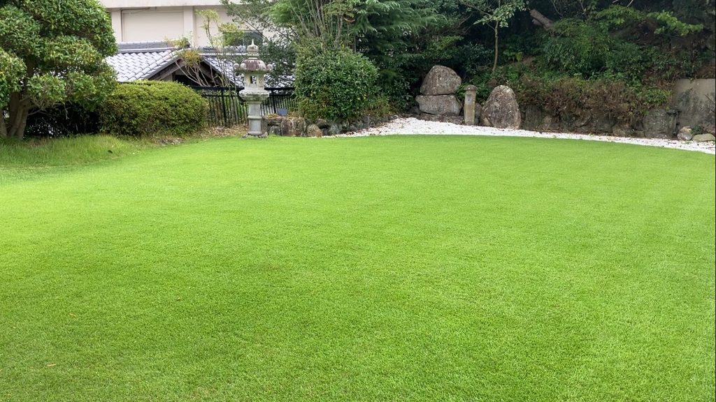 25mmで芝刈りと施肥を終えたYASUYO庭の芝生