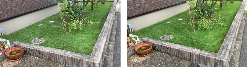 MIWAKO庭|9月20日作業後と9月30日作業前の芝生比較